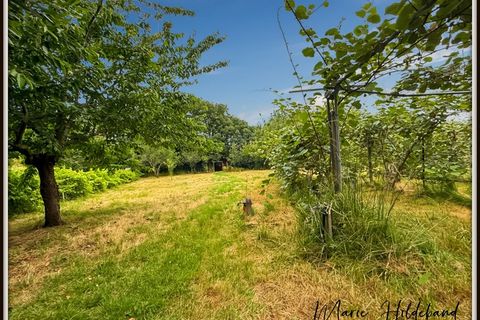 Villa i Saubens, Haute-Garonne, Saubens - € 635.000 | Ref: 340931577532 - foto 35