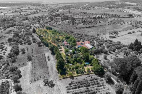 Villa a Torres Novas, Santarem, Torres Novas - € 395.000 | Ref: C0269-02118 - foto 10