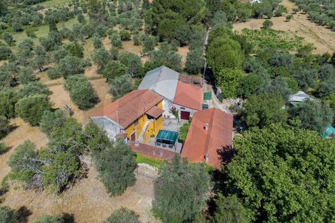 Villa a Torres Novas, Santarem, Torres Novas - € 395.000 | Ref: C0269-02118 - foto 11