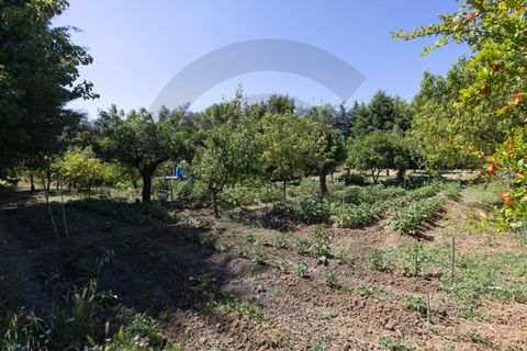 Villa a Torres Novas, Santarem, Torres Novas - € 395.000 | Ref: C0269-02118 - foto 12