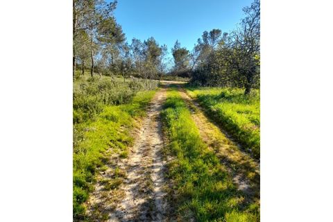 Helårsgrund i Olaia e Paco, Santarem, Olaia e Paco - € 35.000 | Ref: 1780-02921 - foto 3