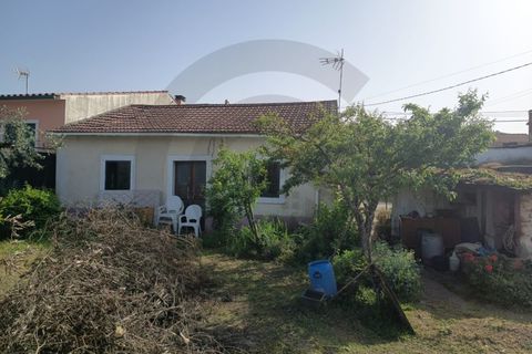 Villa i Assentiz, Santarem, Assentiz - € 85.000 | Ref: C0269-02119 - foto 1