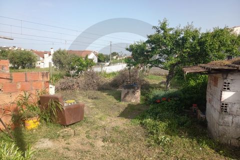 Villa i Assentiz, Santarem, Assentiz - € 85.000 | Ref: C0269-02119 - foto 11