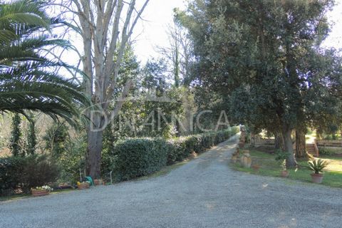 Landejendom i Pontedera, Pisa, Pontedera - € 295.000 | Ref: 1004-110cl - foto 11