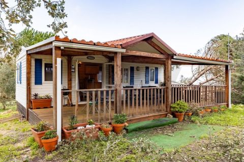 Farm i Leiria, Leiria, Leiria - € 275.000 | Ref: KWPT-028917 - foto 15