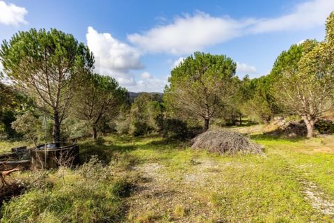 Farm i Leiria, Leiria, Leiria - € 275.000 | Ref: KWPT-028917 - foto 19