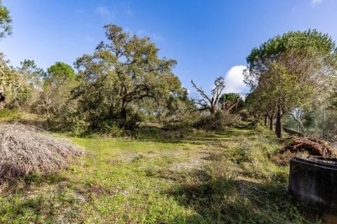 Farm i Leiria, Leiria, Leiria - € 275.000 | Ref: KWPT-028917 - foto 20
