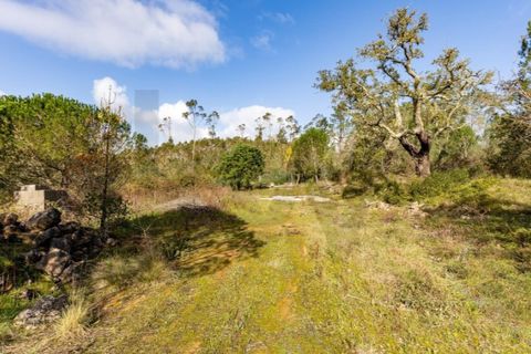 Farm i Leiria, Leiria, Leiria - € 275.000 | Ref: KWPT-028917 - foto 21