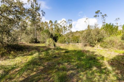 Farm i Leiria, Leiria, Leiria - € 275.000 | Ref: KWPT-028917 - foto 23