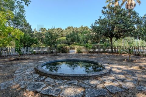 Villa i Mafra, Lisbon, Mafra - € 1.699.200 | Ref: KWPT-033990 - foto 37