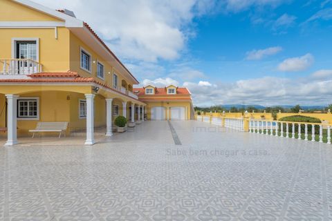 Gård i Azambuja, Lisbon, Azambuja - € 1 250 000 | Ref: D3286 - foto 12