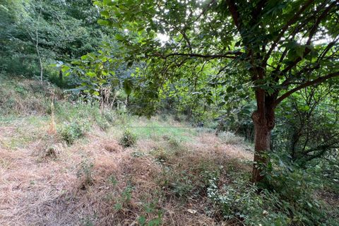 Byhus i Val Liona, Vicenza, Val Liona - € 130.000 | Ref: S2614 - foto 19