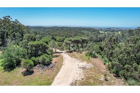 Helårsgrund i Sintra, Lisbon, Sintra - € 3.295.000 | Ref: PROP-34588 - foto 5