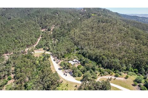 Helårsgrund i Sintra, Lisbon, Sintra - € 3.295.000 | Ref: PROP-34588 - foto 6