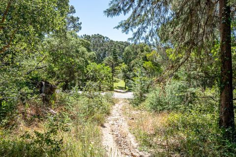 Helårsgrund i Sintra, Lisbon, Sintra - € 3.295.000 | Ref: PROP-34588 - foto 7