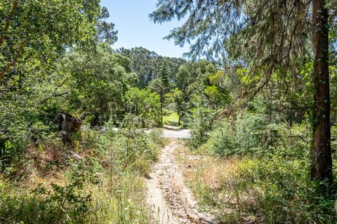 Helårsgrund i Sintra, Lisbon, Sintra - € 3.295.000 | Ref: PROP-34588 - foto 8