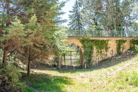 Helårsgrund i Sintra, Lisbon, Sintra - € 3.295.000 | Ref: PROP-34588 - foto 10