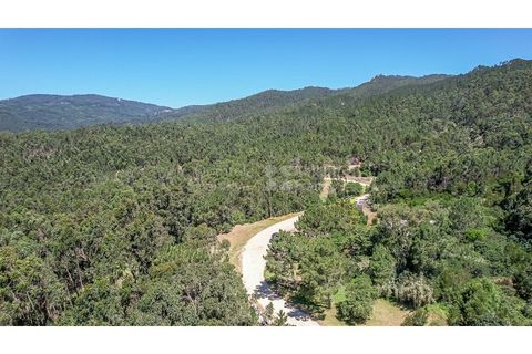 Helårsgrund i Sintra, Lisbon, Sintra - € 3.295.000 | Ref: PROP-34588 - foto 12