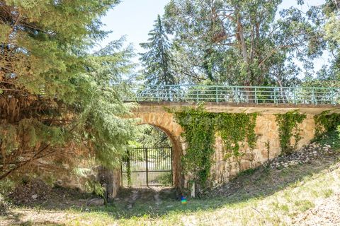 Helårsgrund i Sintra, Lisbon, Sintra - € 3.295.000 | Ref: PROP-34588 - foto 16