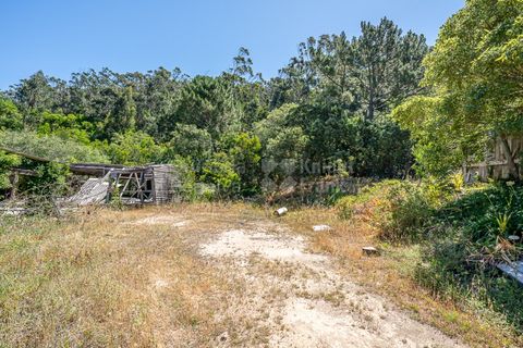 Helårsgrund i Sintra, Lisbon, Sintra - € 3.295.000 | Ref: PROP-34588 - foto 17