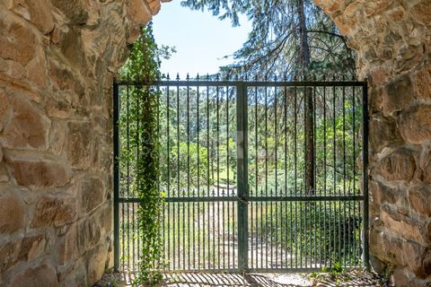 Helårsgrund i Sintra, Lisbon, Sintra - € 3.295.000 | Ref: PROP-34588 - foto 19
