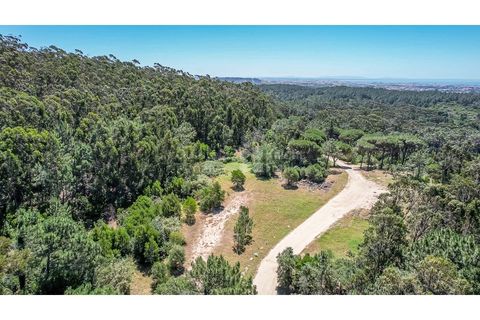 Helårsgrund i Sintra, Lisbon, Sintra - € 3.295.000 | Ref: PROP-34588 - foto 21