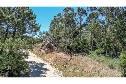 Helårsgrund i Sintra, Lisbon, Sintra - € 3.295.000 | Ref: PROP-34588 - foto 22