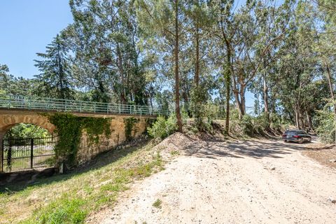 Helårsgrund i Sintra, Lisbon, Sintra - € 3.295.000 | Ref: PROP-34588 - foto 24