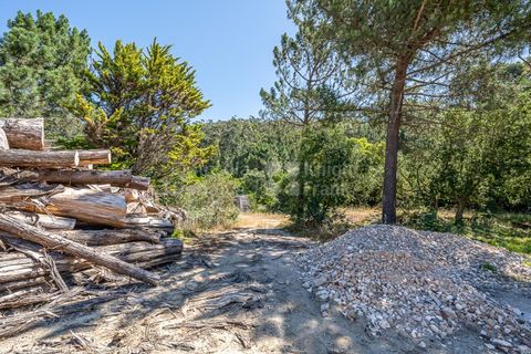 Helårsgrund i Sintra, Lisbon, Sintra - € 3.295.000 | Ref: PROP-34588 - foto 26