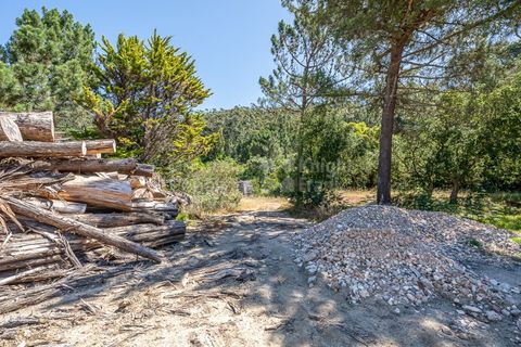 Helårsgrund i Sintra, Lisbon, Sintra - € 3.295.000 | Ref: PROP-34588 - foto 28
