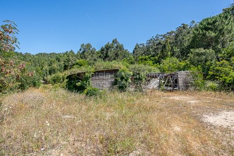 Helårsgrund i Sintra, Lisbon, Sintra - € 3.295.000 | Ref: PROP-34588 - foto 30