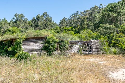 Helårsgrund i Sintra, Lisbon, Sintra - € 3.295.000 | Ref: PROP-34588 - foto 31