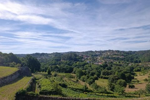 Landejendom i Formariz e Ferreira, Viana do Castelo, Formariz e Ferreira - € 600.000 | Ref: MDS4242 - foto 7