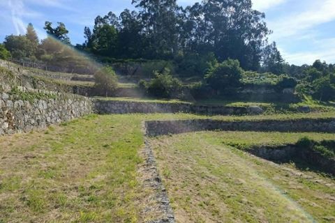 Landejendom i Formariz e Ferreira, Viana do Castelo, Formariz e Ferreira - € 600.000 | Ref: MDS4242 - foto 8