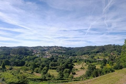 Landejendom i Formariz e Ferreira, Viana do Castelo, Formariz e Ferreira - € 600.000 | Ref: MDS4242 - foto 9