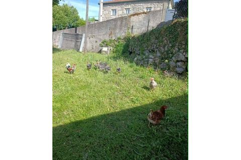 Landejendom i Formariz e Ferreira, Viana do Castelo, Formariz e Ferreira - € 600.000 | Ref: MDS4242 - foto 12