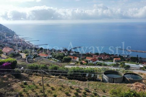 Helårsgrund i Ospedaletti, Imperia, Ospedaletti - € 800.000 | Ref: iv1340 - foto 5