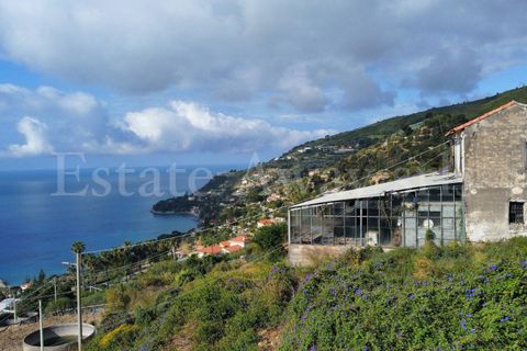 Helårsgrund i Ospedaletti, Imperia, Ospedaletti - € 800.000 | Ref: iv1340 - foto 6