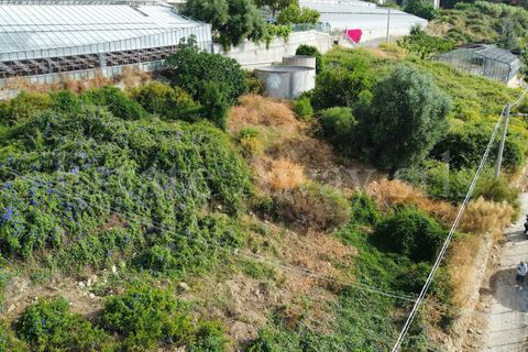 Helårsgrund i Ospedaletti, Imperia, Ospedaletti - € 800.000 | Ref: iv1340 - foto 7