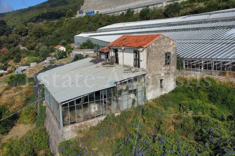 Helårsgrund i Ospedaletti, Imperia, Ospedaletti - € 800.000 | Ref: iv1340 - foto 8