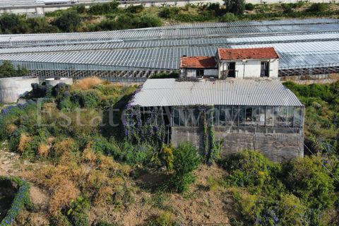 Helårsgrund i Ospedaletti, Imperia, Ospedaletti - € 800.000 | Ref: iv1340 - foto 9
