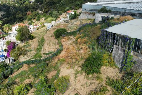 Helårsgrund i Ospedaletti, Imperia, Ospedaletti - € 800.000 | Ref: iv1340 - foto 10