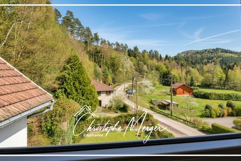 Villa i Abreschviller, Moselle, Abreschviller - € 350.000 | Ref: 340938424589 - foto 11