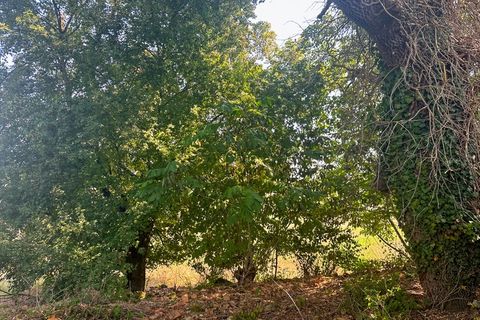 Villa i Montesquiou, Gers, Montesquiou - € 199.000 | Ref: 340939217752 - foto 13