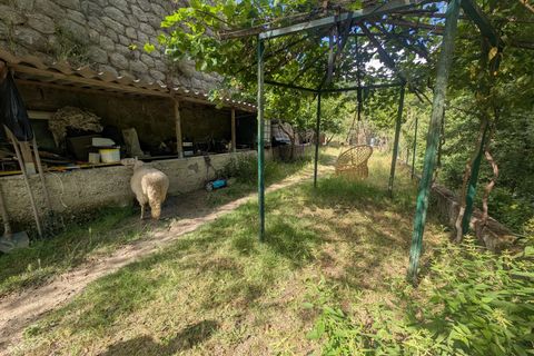 Terra a Peillon, Alpes-Maritimes, Peillon - € 89.000 | Ref: 1320 - foto 3