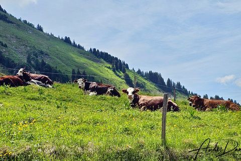 Villa i Manigod, Haute-Savoie, Manigod - € 840.000 | Ref: 340932135899 - foto 18