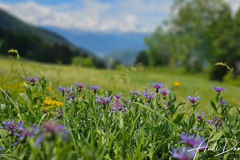 Villa i Manigod, Haute-Savoie, Manigod - € 840.000 | Ref: 340932135899 - foto 19