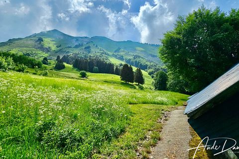 Villa i Manigod, Haute-Savoie, Manigod - € 840.000 | Ref: 340932135899 - foto 30