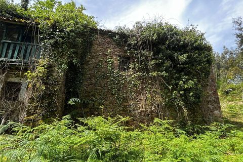 Landejendom i Bermeo, Vizcaya, Bermeo - € 209.000 | Ref: 14247-BRZ/2912 - foto 7