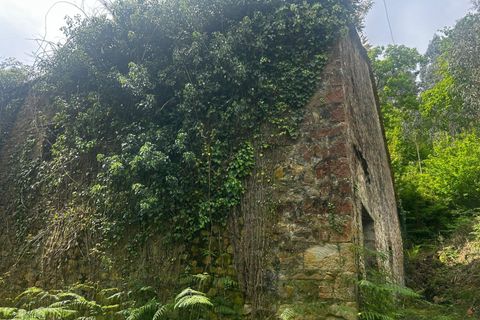 Landejendom i Bermeo, Vizcaya, Bermeo - € 209.000 | Ref: 14247-BRZ/2912 - foto 8